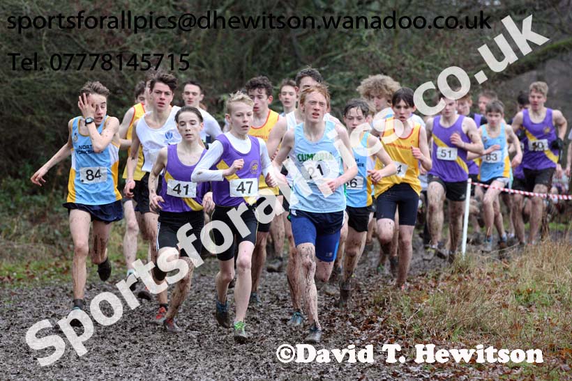 Intermediate boys Northern Inter Counties Schools Cross Country, Stockton. Photo: David T. Hewitson/Sports for All Pics
